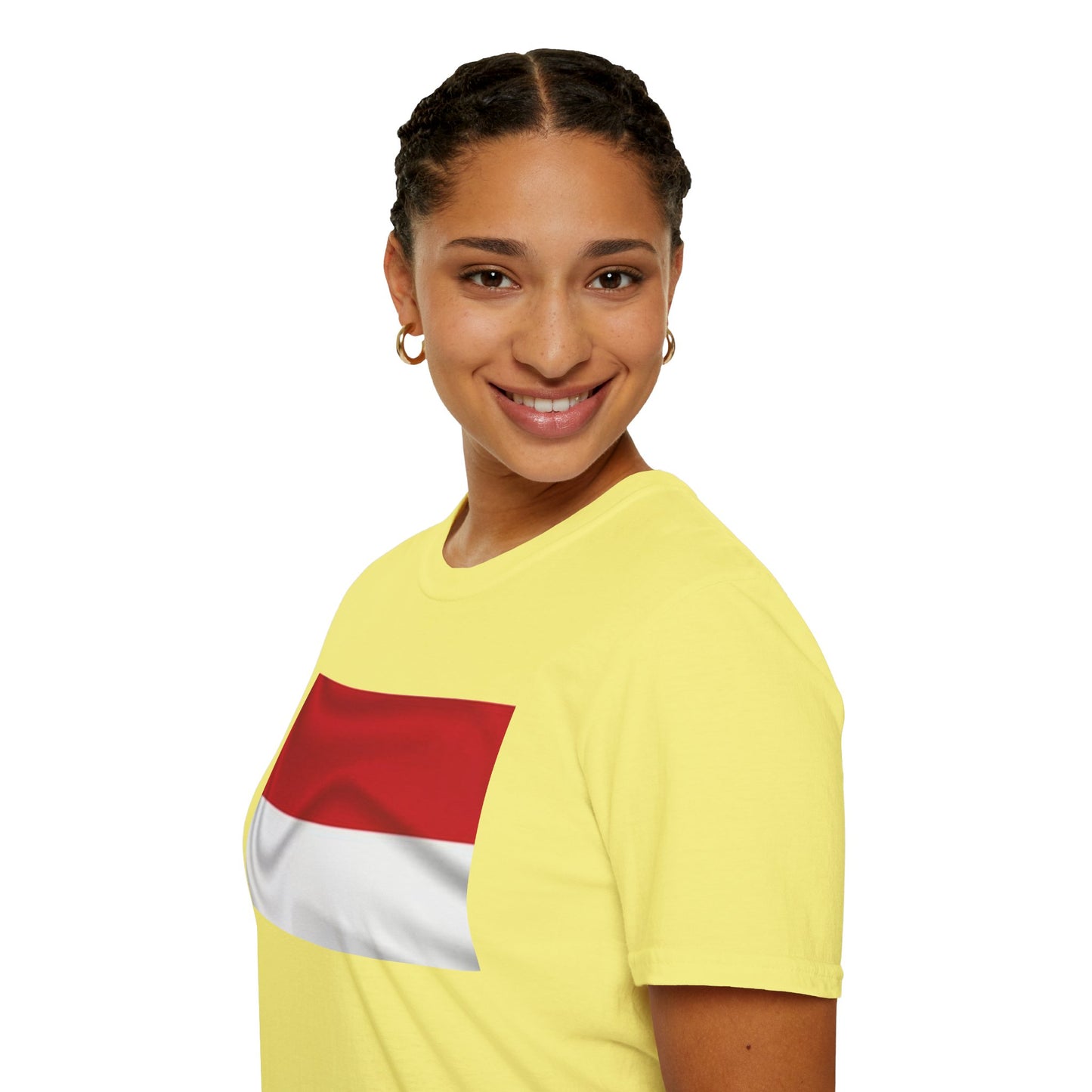 Unisex Softstyle T-Shirt -- Monaco