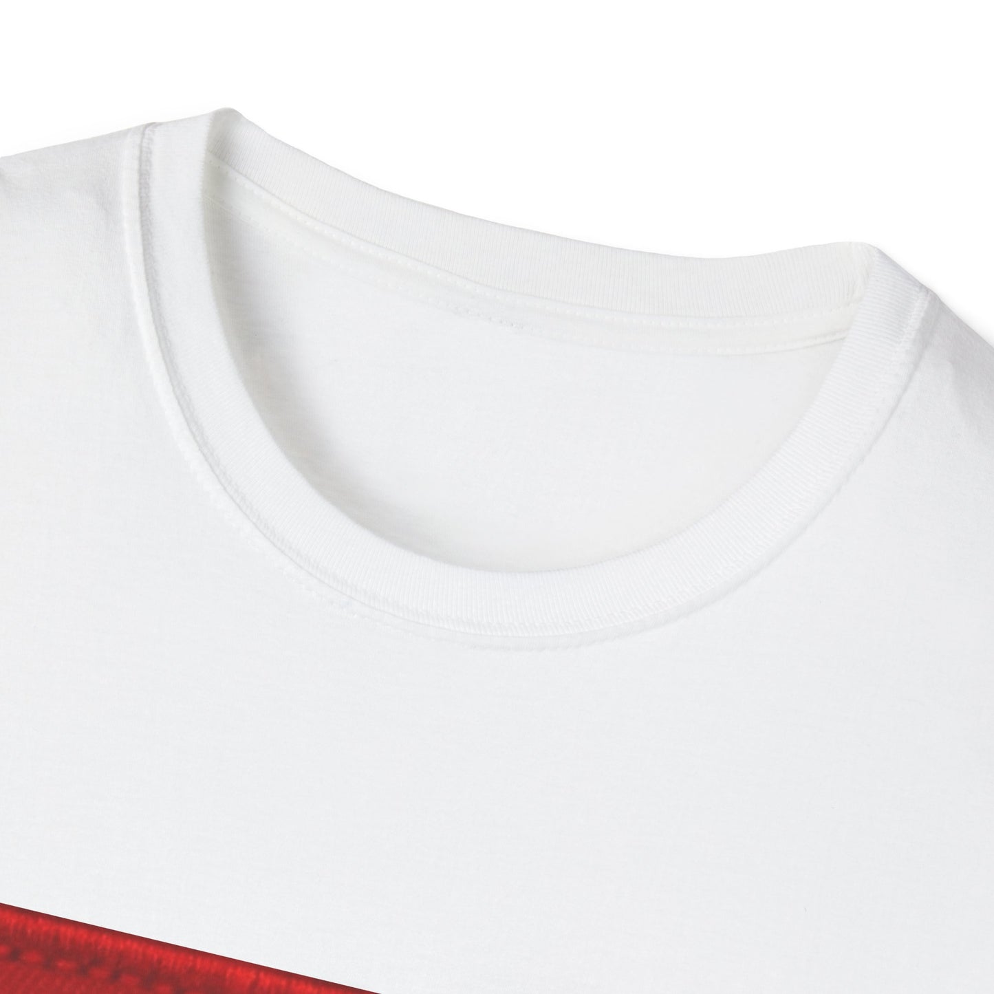 Unisex Softstyle T-Shirt -- China
