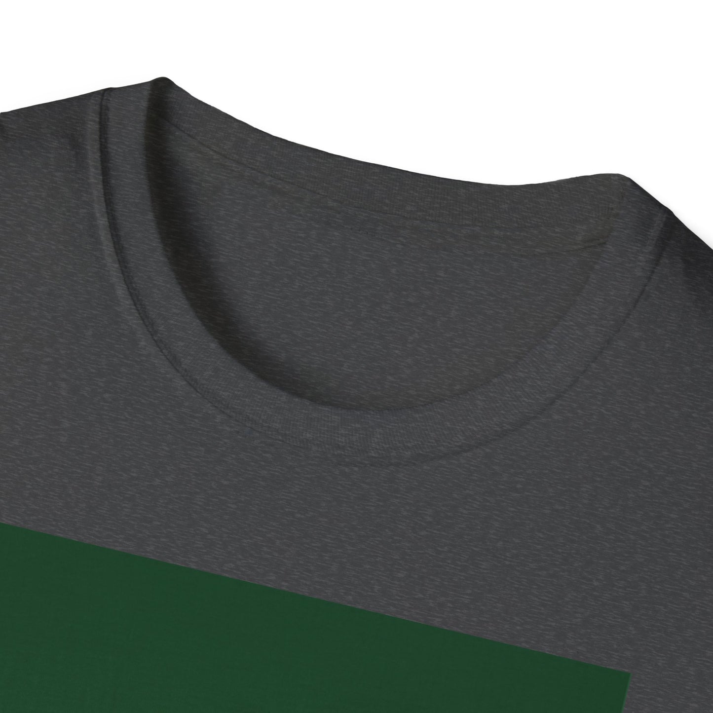 Unisex Softstyle T-Shirt -- Pakistan