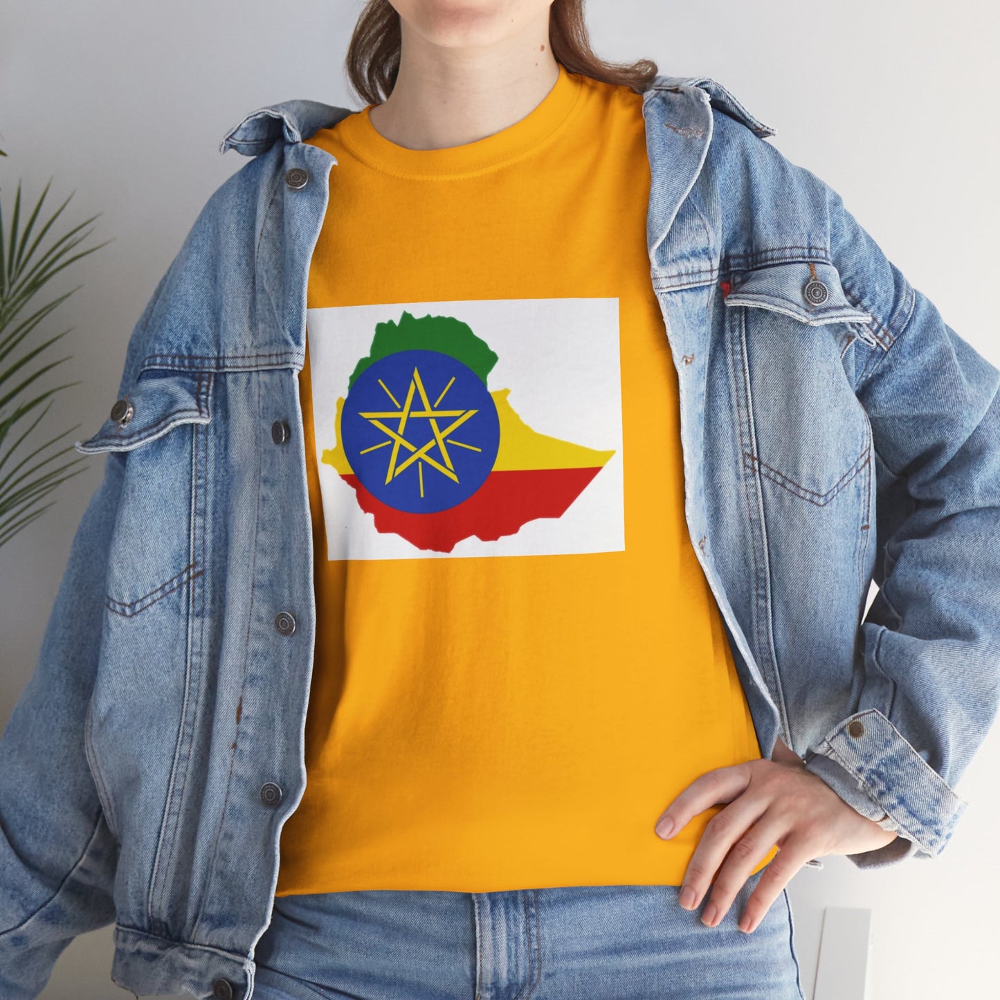 Unisex Heavy Cotton Tee -- Ethiopa federal flag and map