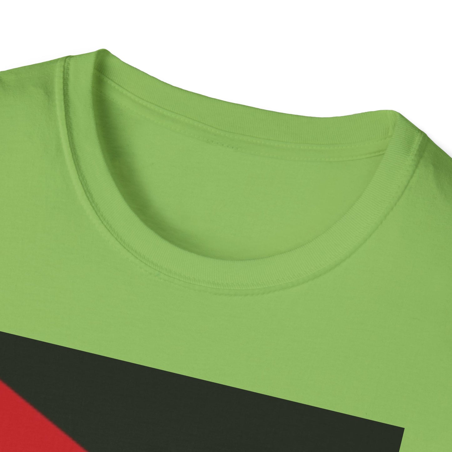 Unisex Softstyle T-Shirt -- Jordan