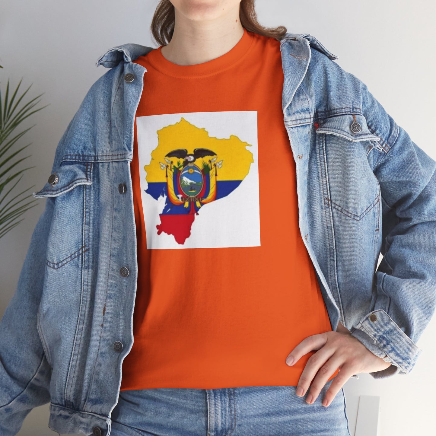Unisex Heavy Cotton Tee -- Ecuador flag and map