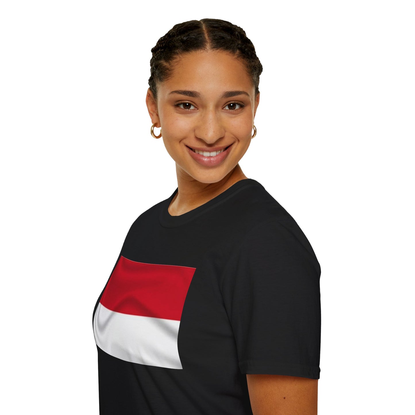 Unisex Softstyle T-Shirt -- Monaco