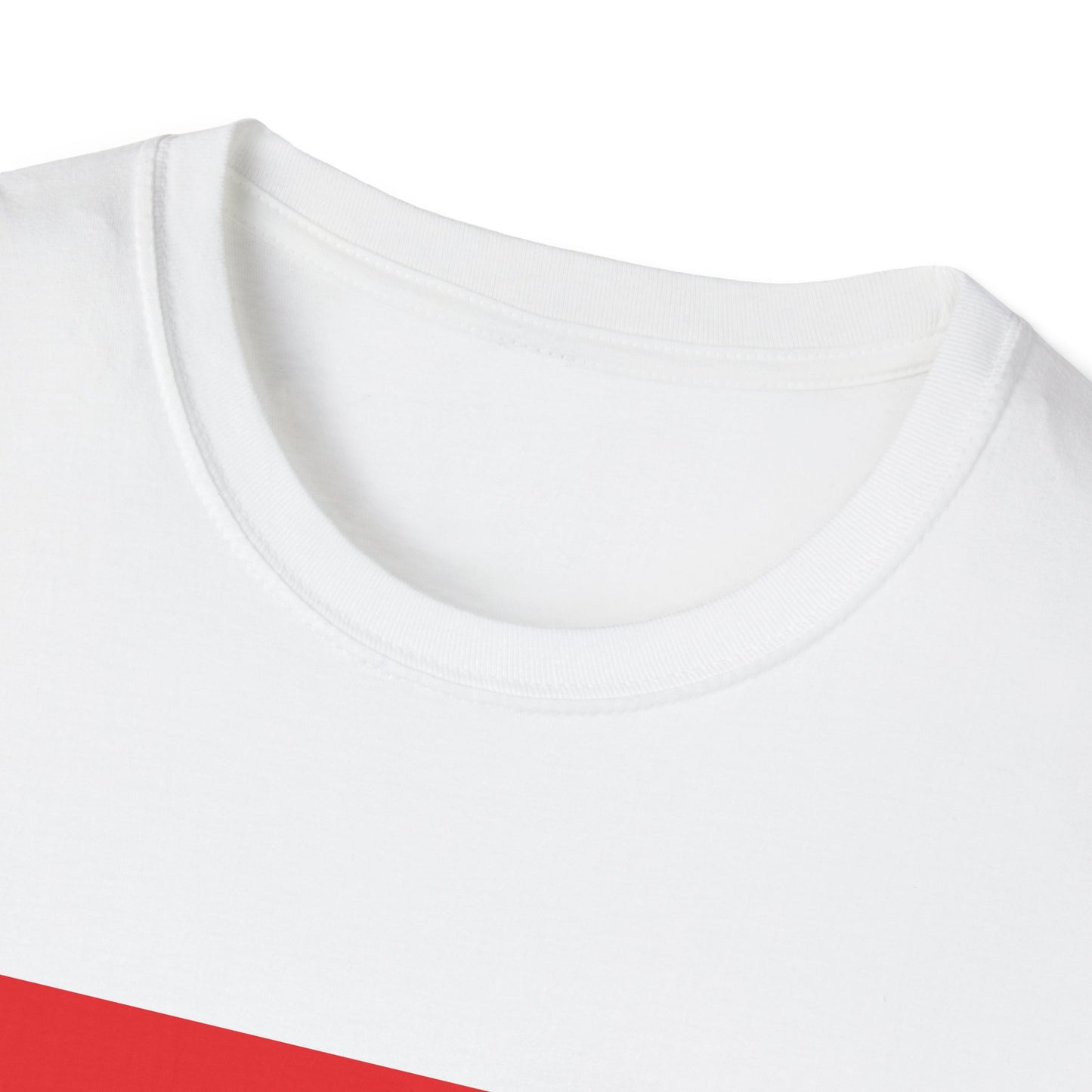 Unisex Softstyle T-Shirt -- Paraguay