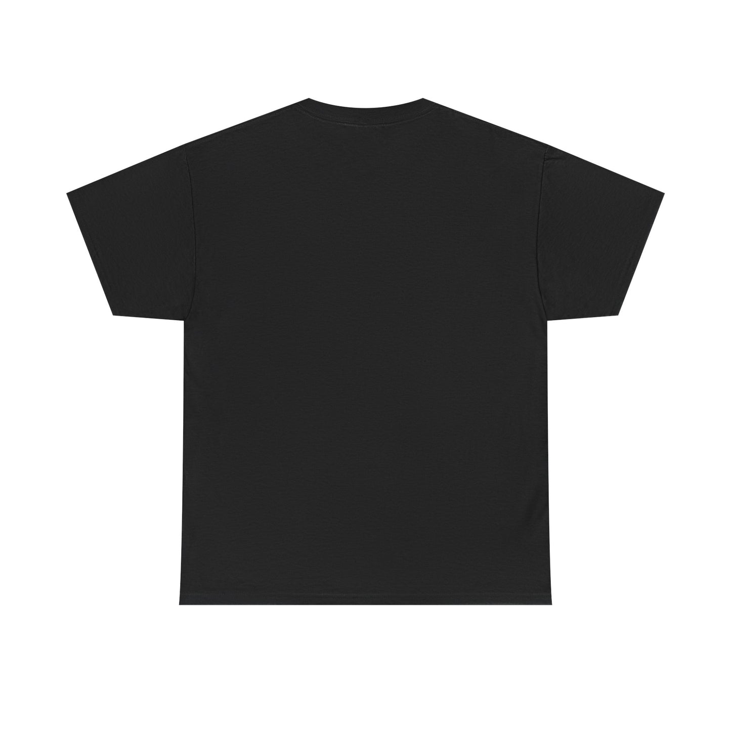 Unisex Heavy Cotton Tee -- Ecuador flag and map