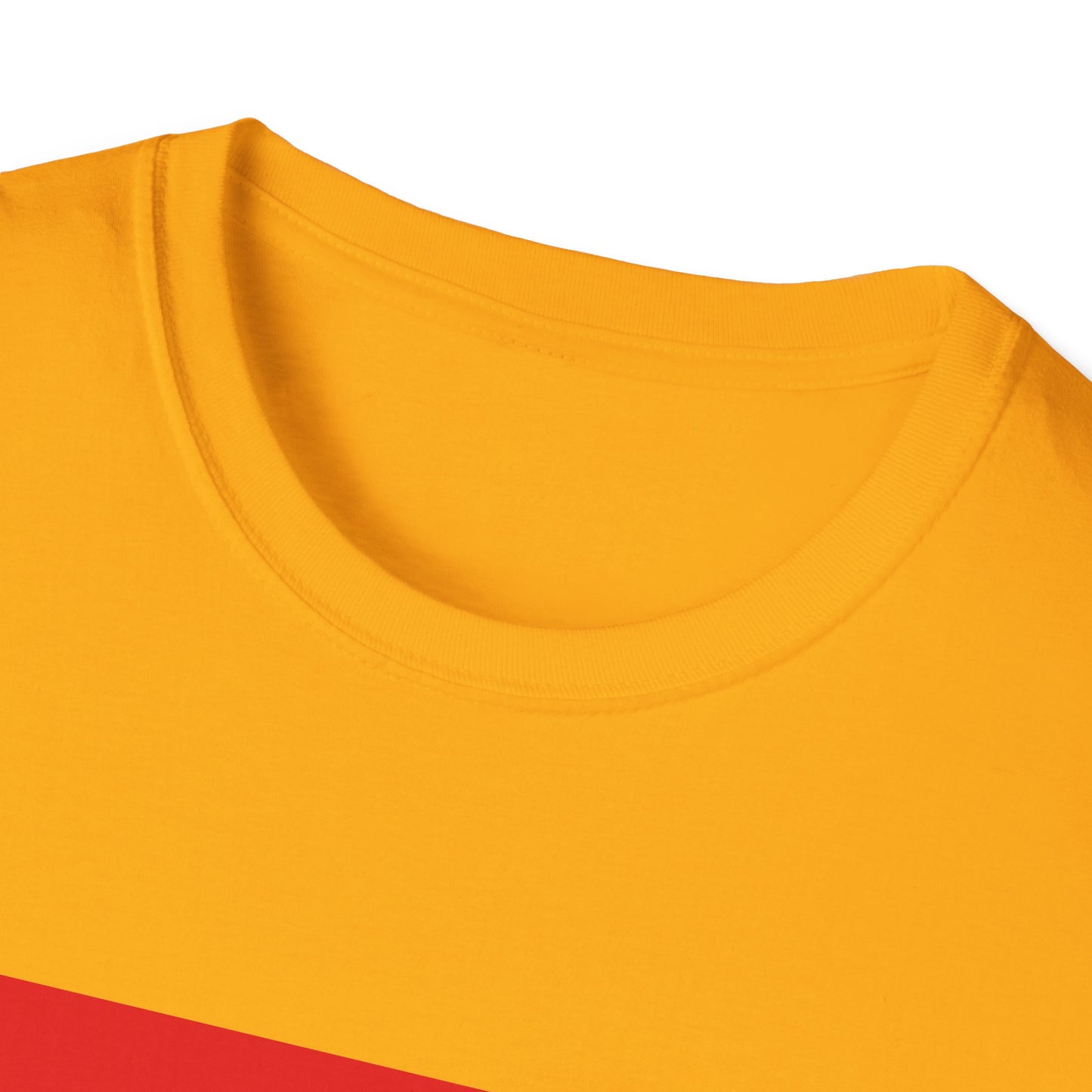 Unisex Softstyle T-Shirt -- Paraguay