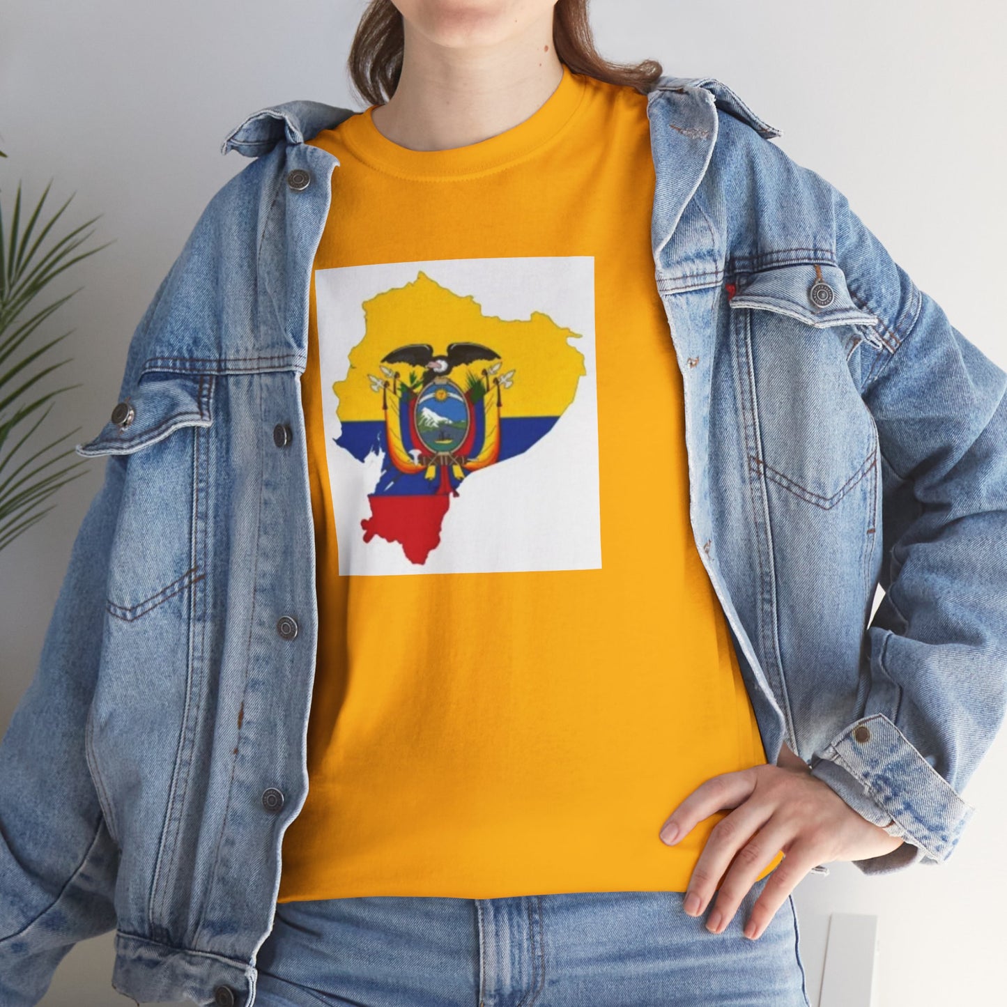 Unisex Heavy Cotton Tee -- Ecuador flag and map