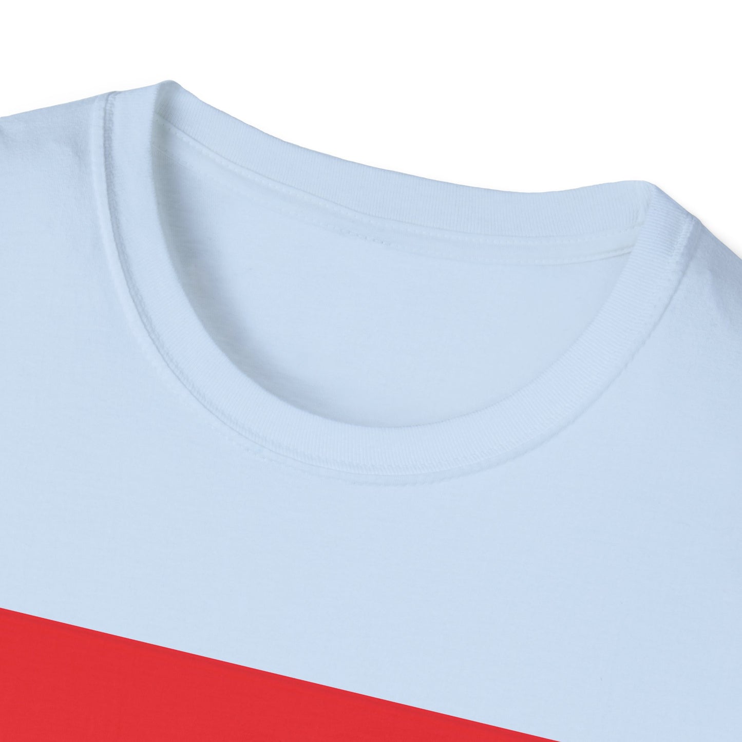 Unisex Softstyle T-Shirt -- Morocco
