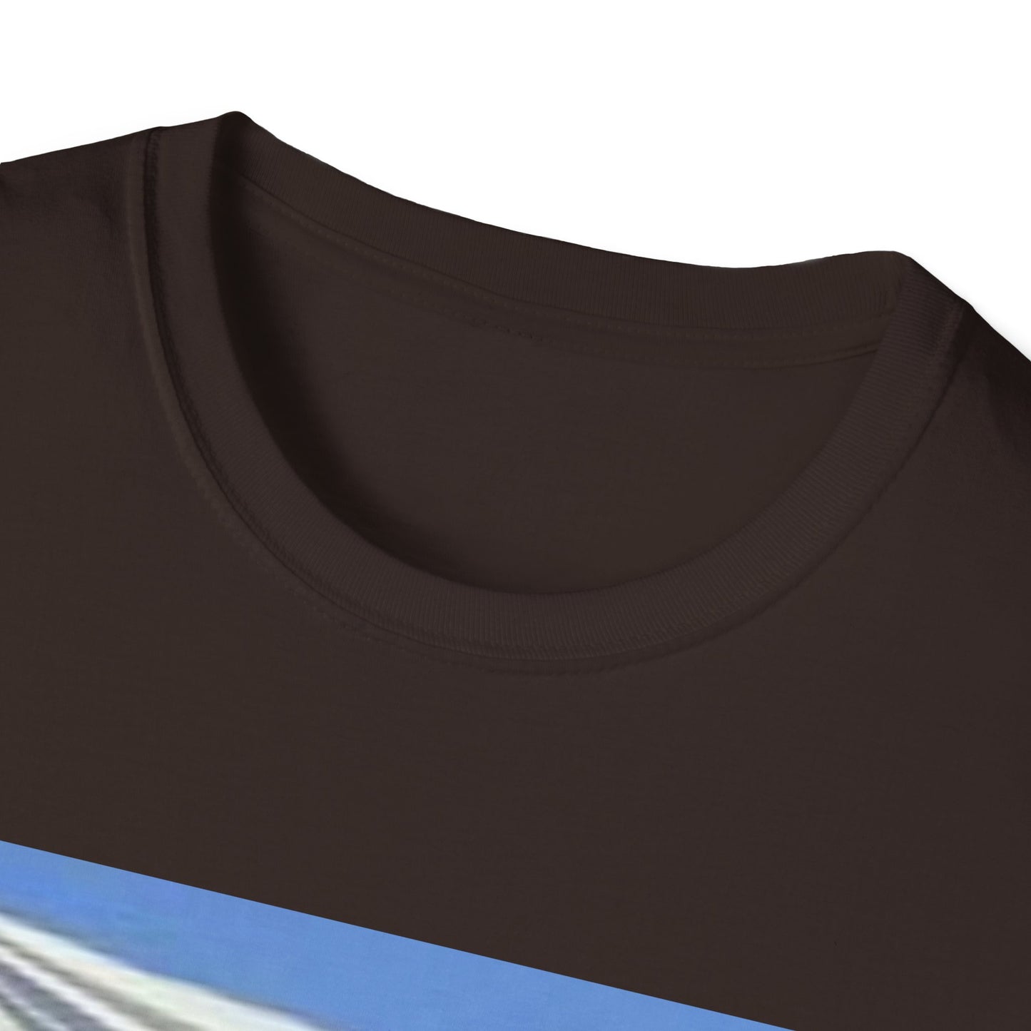 Unisex Softstyle T-Shirt -- Poland