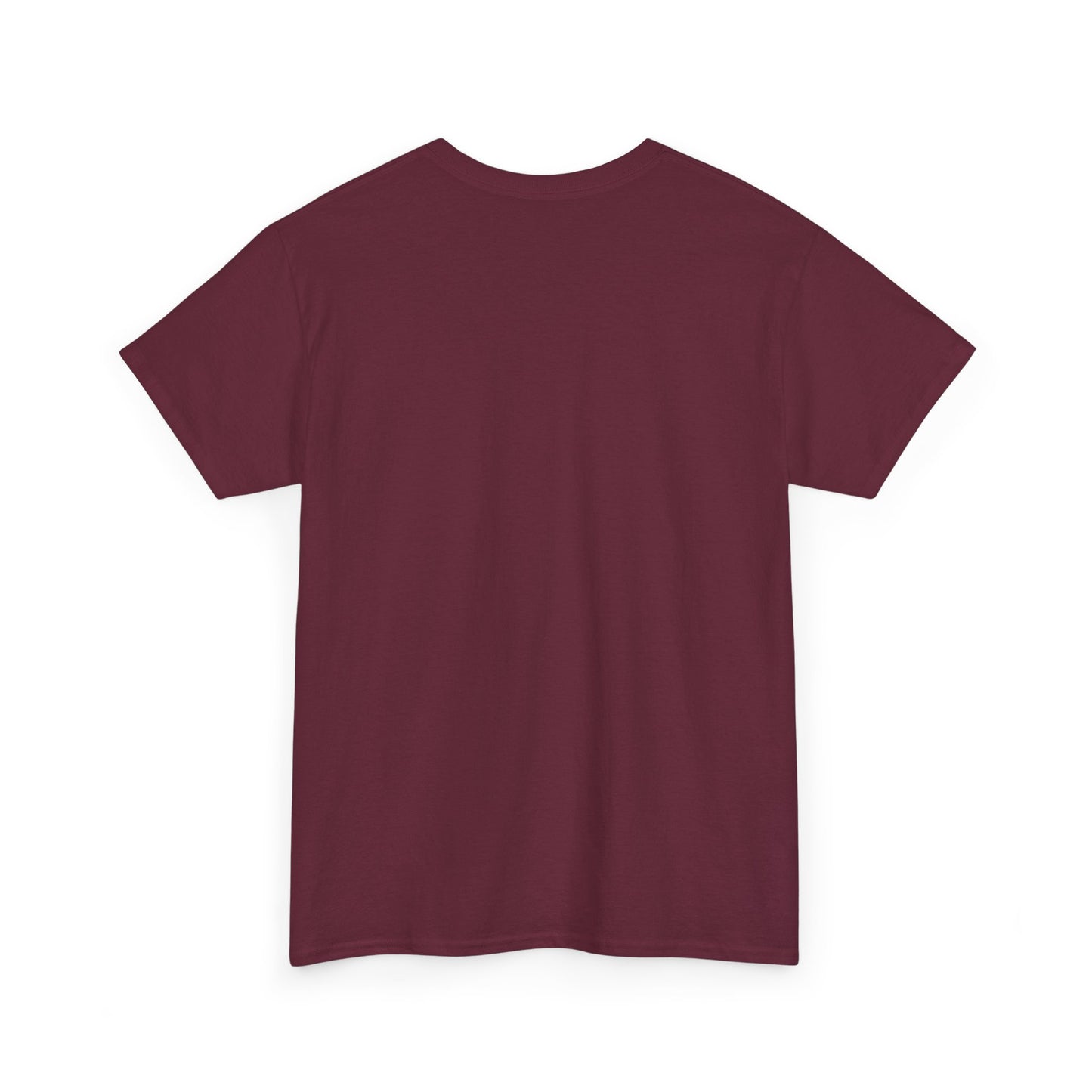 Unisex Heavy Cotton Tee -- Ecuador flag and map